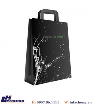 268Mẫu túi giấy giá rẻ