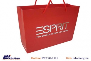 269Mẫu túi giấy giá rẻ
