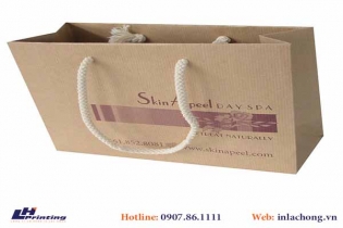 233Những mẫu túi giấy Kraft Ấn tượng