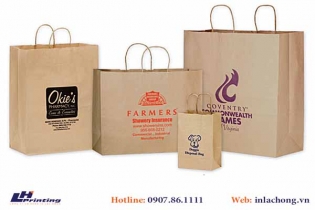 252Những mẫu túi giấy Kraft Ấn tượng