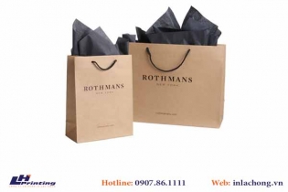 Những mẫu túi giấy Kraft Ấn tượng