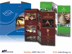 225Mẫu tờ rơi du lịch ấn tượng