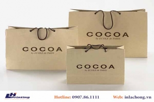 237Những mẫu túi giấy Kraft Ấn tượng