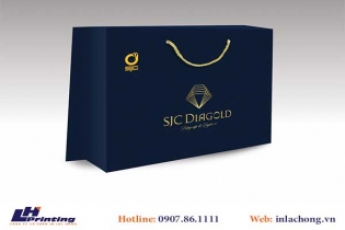 265Túi giấy để quà tặng