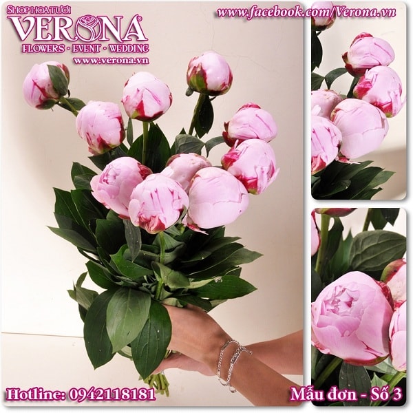 In catalogue cho shop hoa tươi